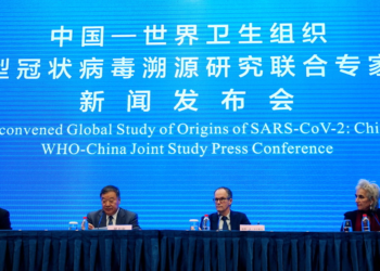 Misión OMS concluye SARS-CoV-2 se originó en un animal y no en laboratorio