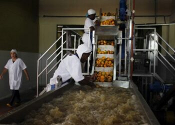 Medidas proempleo apuntan a dinamizar sector privado en Cuba