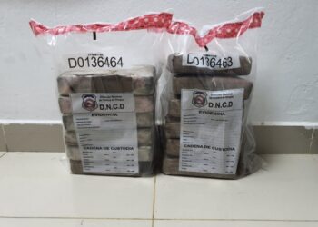 Ocupan 12 paquetes de drogas en contenedor de bananos con destino a Holanda