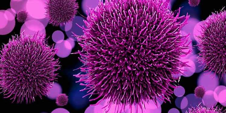 Otras 21 personas fallecieron en las últimas 24 horas por la Covid-19