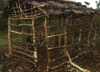 Tribunal ordena arresto invasores de terrenos en Sabana Grande de Boyá