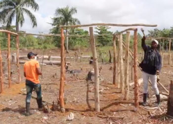 El CEA desaloja de terrenos a red de invasores en el distrito municipal de Gonzalo, de SGB