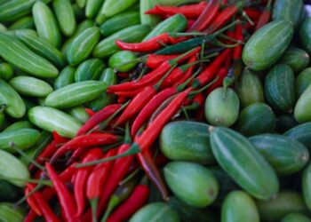 Gobierno entrega 460 títulos de propiedad en beneficio de 1,800 en Los Almácigos