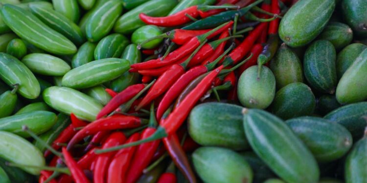 Gobierno entrega 460 títulos de propiedad en beneficio de 1,800 en Los Almácigos