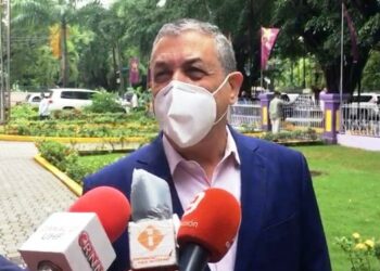 Vocero diputados PLD cuestiona discurso oficialismo sobre tres causales del aborto