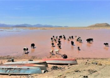 La agricultura absorbe las mayores pérdidas por las catástrofes