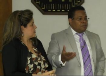 Armerías e importadores quieren participar en Plan de Seguridad