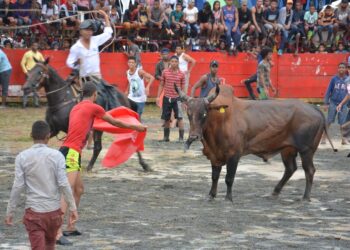 Ley declararía patrimonio cultural corrida de toros de El Seibo