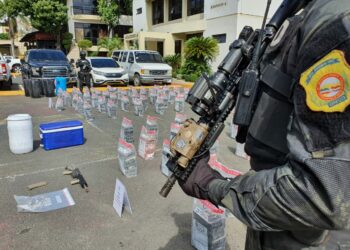 DNCD ocupa 615 paquetes de presunta cocaína en SPM y Azua