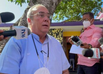 PLD fijará posición sobre declaración del presidente Abinader