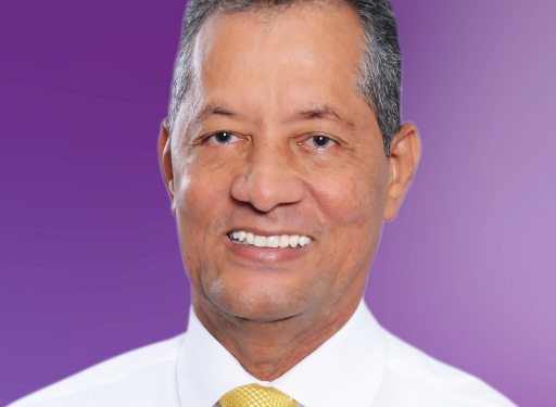 Dirigente del PLD considera denigrantes nombres de “Operación Pulpo, Caracol y Coral”