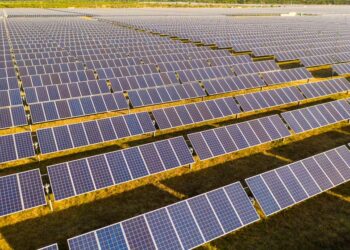 Corporación colocó con éxito US$ 700 millones en bonos verdes