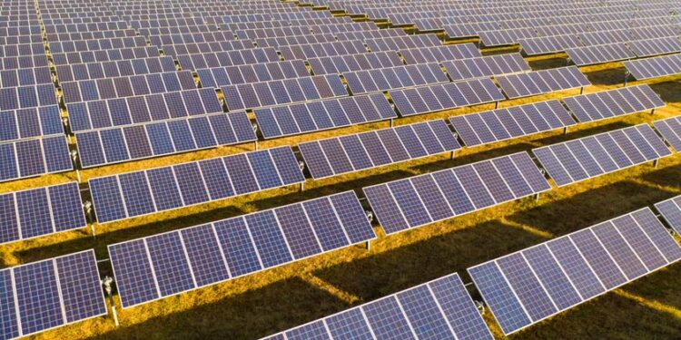 Corporación colocó con éxito US$ 700 millones en bonos verdes