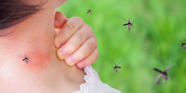 Pediatras preocupados por decesos de 517 infantes y 41  madres en primer trimestre 2021