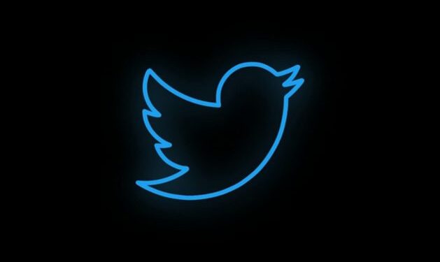 Twitter no es el mundo pero te hace pensar que sí