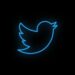 Twitter no es el mundo pero te hace pensar que sí