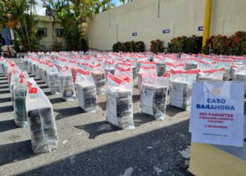 DNCD ocupa 854 paquetes de drogas en Barahona  y Puerto Caucedo
