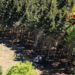 Tragedia en teleférico de Italia: Al menos 14 muertos