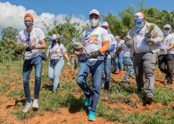Edesur siembra 4,800 plantas en los Mogotes de Villa Altagracia