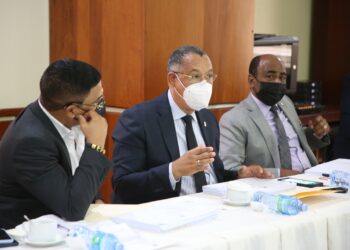 Subcomisión de Justicia Cámara de Diputados aprueba modificar 82 artículos del Código Penal