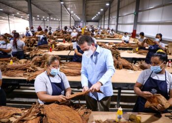 Exportaciones de Zonas Francas alcanzan un crecimiento interanual de 108%