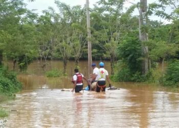 Destacan labor de voluntarios en el Día Mundial de la Cruz Roja