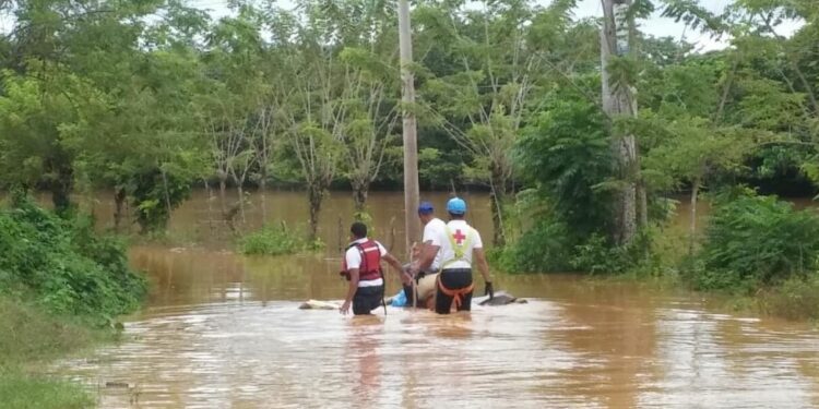 Destacan labor de voluntarios en el Día Mundial de la Cruz Roja