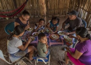 El hambre cunde en América Central, Haití y Venezuela dicen el PMA y la FAO