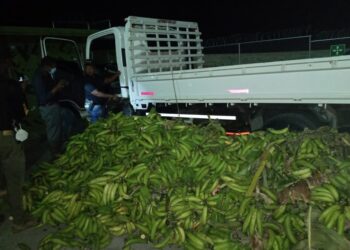 Ocupan 37 paquetes presumiblemente cocaína escondidos en carga de plátanos