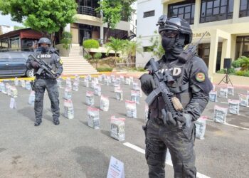 Ocupa 456 paquetes presumiblemente cocaína en finca de Samaná