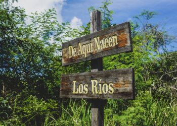 Harán mapeo nacional para identificar áreas con mayores beneficios ambientales