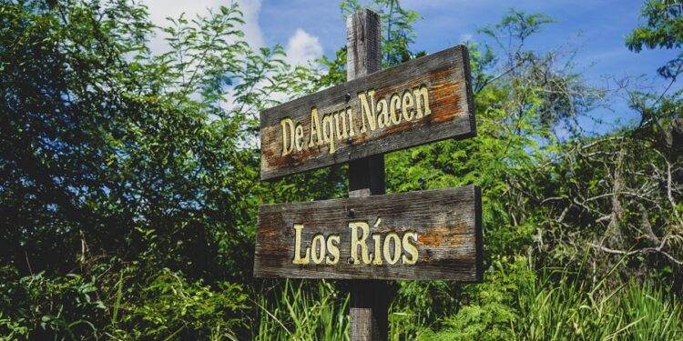 Harán mapeo nacional para identificar áreas con mayores beneficios ambientales