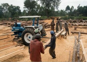 Estudio: Las jornadas de trabajo muy largas causan la muerte