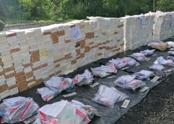 Procuraduría General incinera más de 1,052 kilos de drogas ocupadas en la última semana