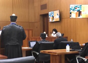 Cristina Lizardo defiende probidad de Andrés Bautista