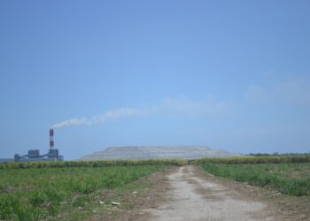 Demandan investigación: sospechan Punta Catalina esté causando muertes en Nizao