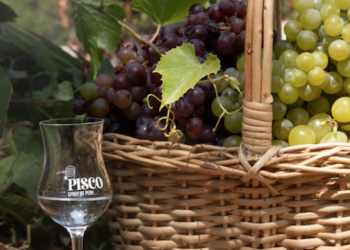 La ruta del pisco te invita a conocer el origen de la bebida espirituosa de Perú