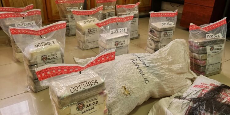 DNCD ocupó en Samaná 66 paquetes de cocaína