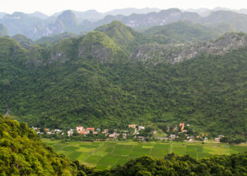 ONU: Restaurar una superficie del tamaño de China será necesario evitar la inseguridad alimentaria