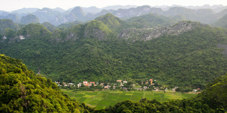 ONU: Restaurar una superficie del tamaño de China será necesario evitar la inseguridad alimentaria