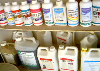 Datos reveladores sobre la realidad del suicidio en el mundo