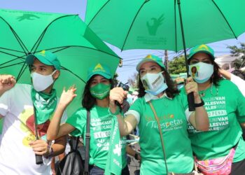 Alianza País rechaza proyecto de Código Penal aprobado por Diputados