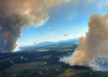 Canadá alarmada por muerte de 500 personas en cinco días por ola de calor