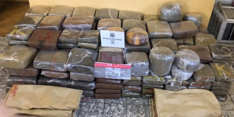 San Juan: Ocupan en dos camiones más de dos mil libras de marihuana