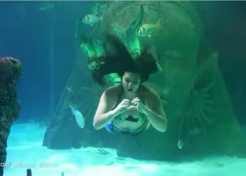 Video.- Conozca a la joven que se gana la vida como sirena