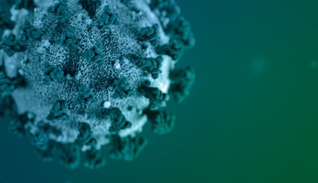 CDC de EEUU: Variante delta más contagiosa que el ébola o tanto como la varicela.