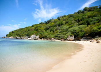 Diputado denuncia mafias roban casas y terrenos en comunidades de Puerto Plata