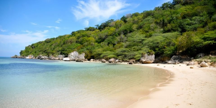 Diputado denuncia mafias roban casas y terrenos en comunidades de Puerto Plata