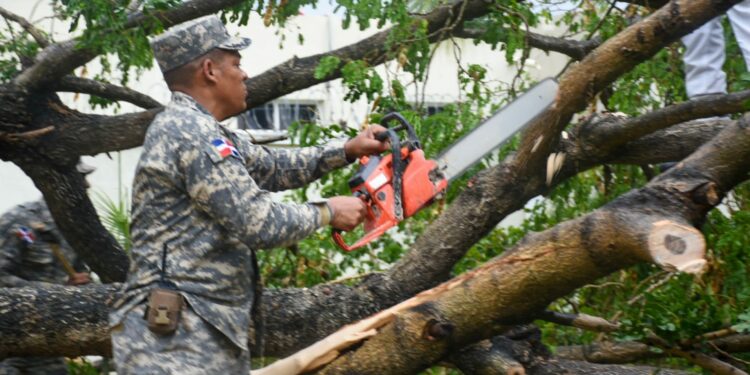 Alcaldía SDE retira de las vías árboles derribados por vientos de tormenta Fred