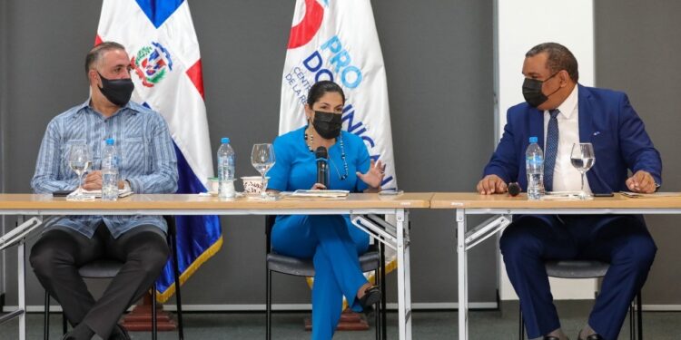 CNE y Pro-Dominicana impulsarán ventanilla única de inversión en energía renovable